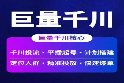 网络推广与竞价广告：双管齐下的策略案例